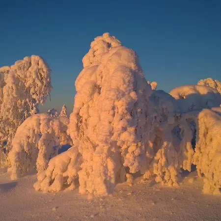 Kelotaehti Saariselkä